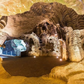 Cape Spartel & Hercules Caves Tour – 5 Hours with Camel Ride