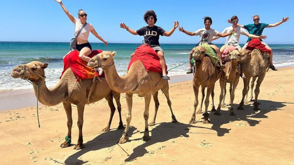 Camel Ride