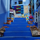Akchour Waterfalls & Chefchaouen Day Tour with Traditional Tajine Lunch