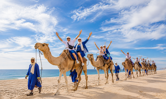 Yalah Travel Morocco | Private Tours & Tailor-Made Morocco Travel