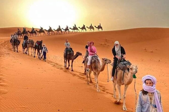 Camel Trek in Sahara