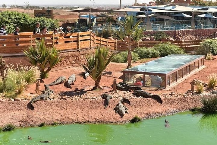 Agadir Crocoparc