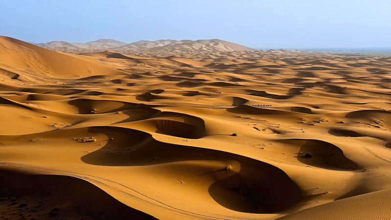 Sahara Desert